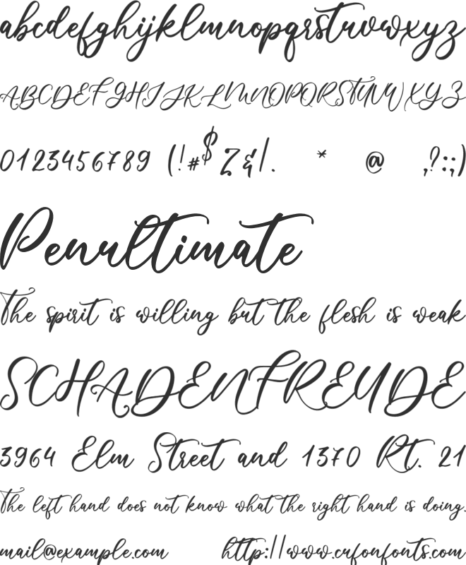 Meticulous font preview