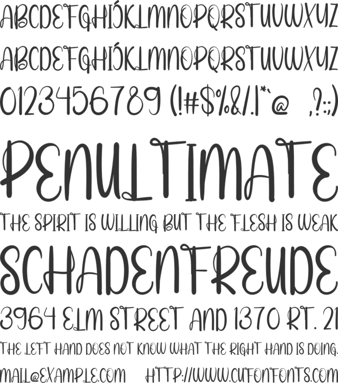 Planner font preview