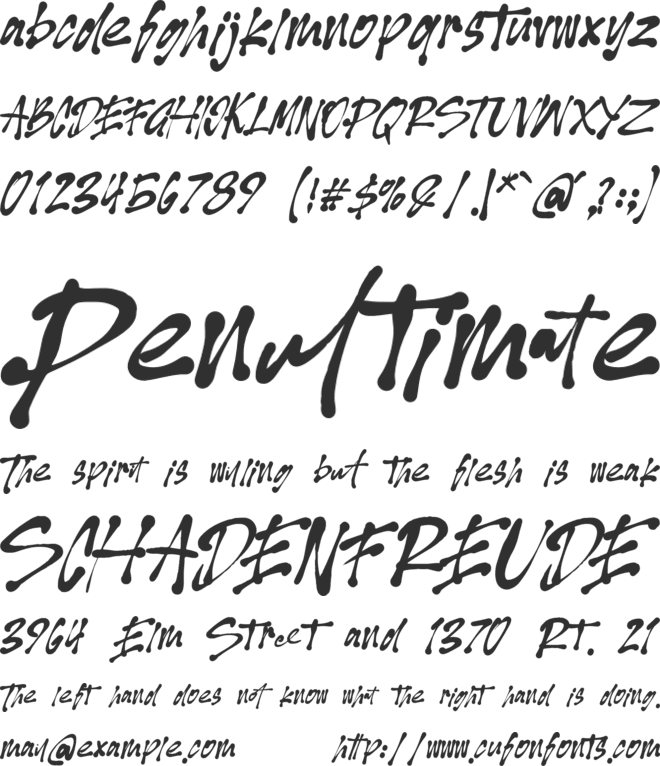 Vecthorized font preview