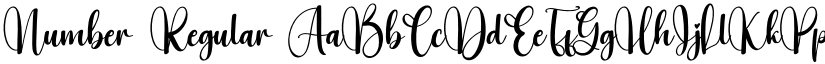 Number Regular font