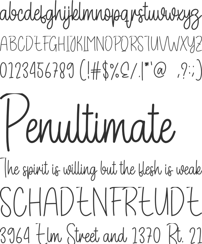 Winter Signature font preview
