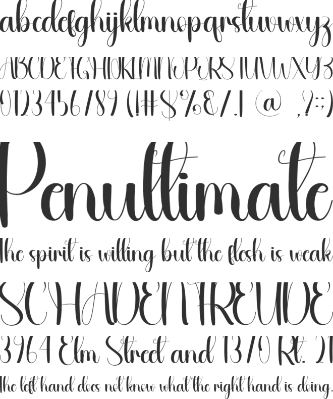 Wedding Style font preview