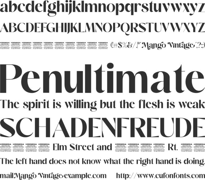 Mango Vintage Personal Use Only font preview