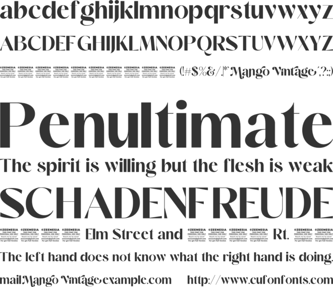 Mango Vintage Personal Use Only font preview