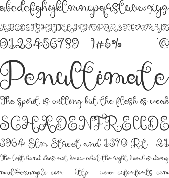 Holla Kalsa font preview