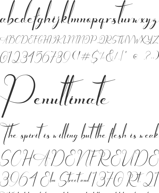 Chester Chesire font preview