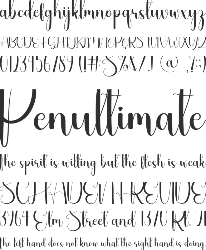 Rice font preview