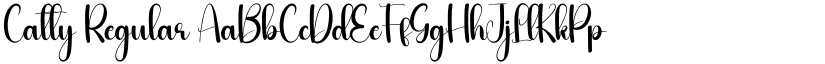 Catty Regular font