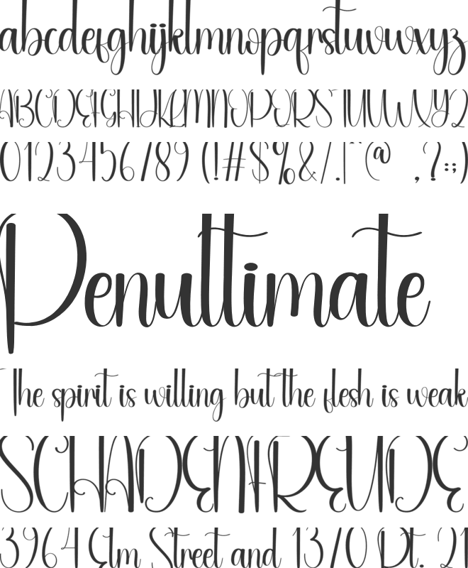 Burgundy font preview