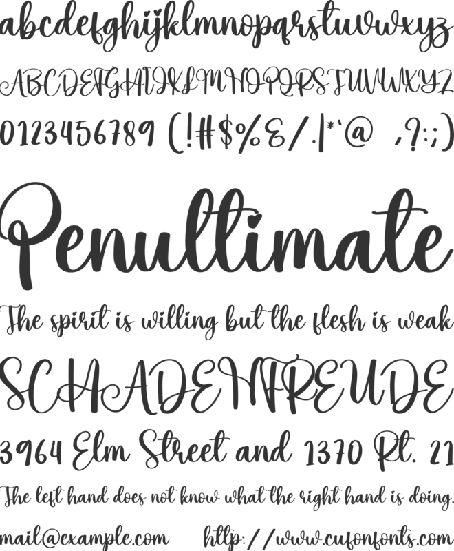 Sunrice font preview