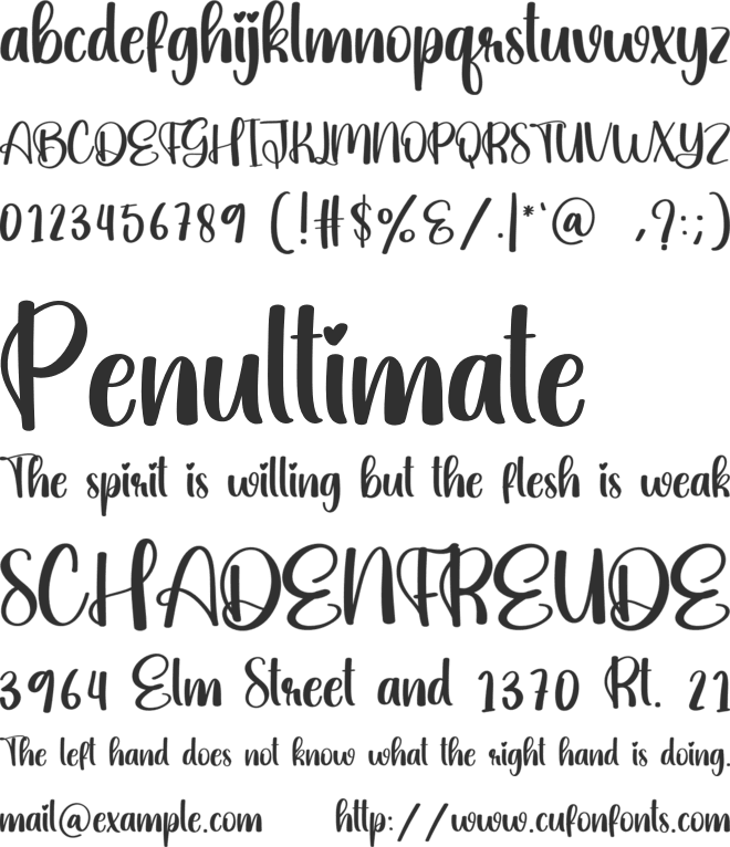 Staunch font preview