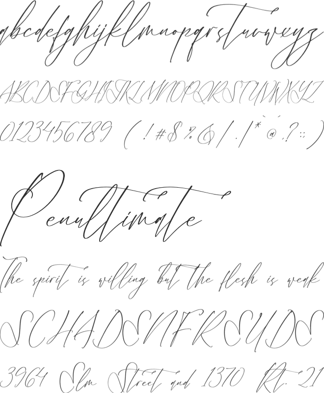 Velodicals Holysmith font preview