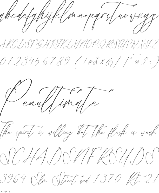 Velodicals Holysmith font preview