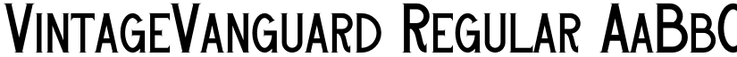 VintageVanguard Regular font