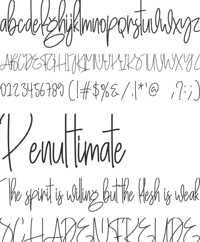 Commingsoon font preview