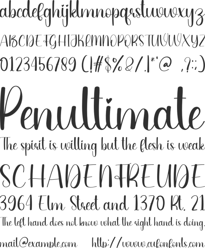 Timeout font preview