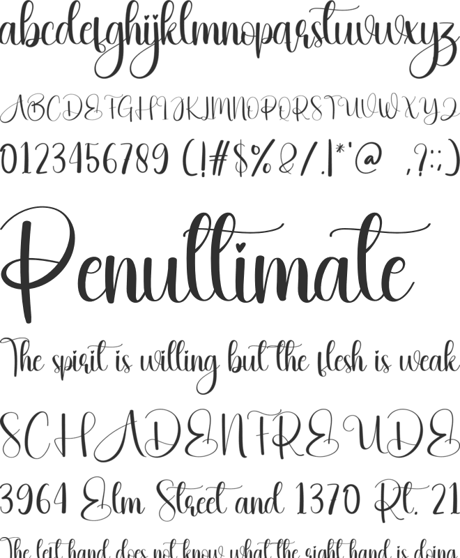 Earring font preview