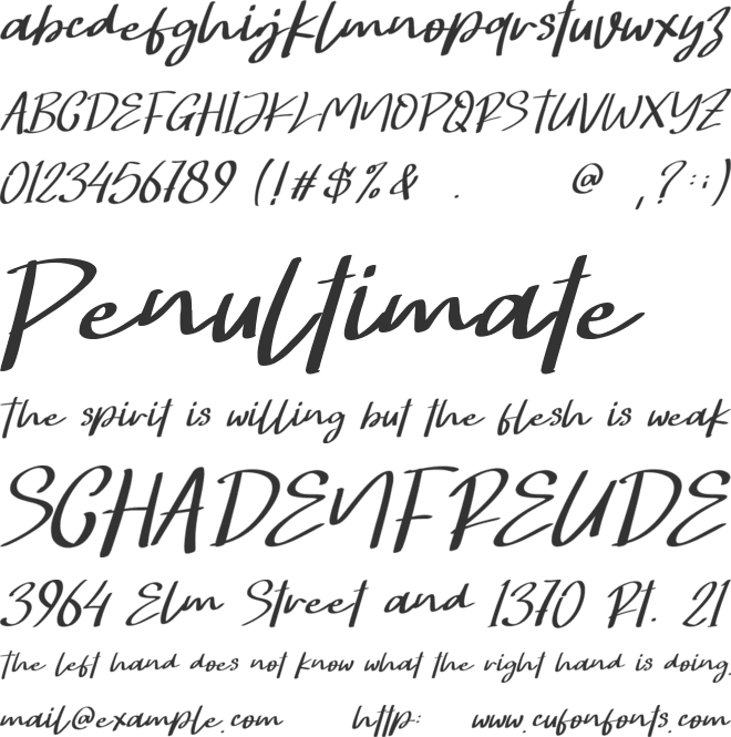 Hongkong Script  - Person font preview