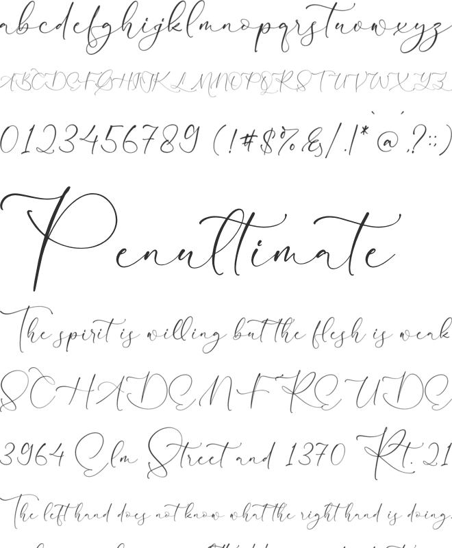 Kingdom Estella Script font preview