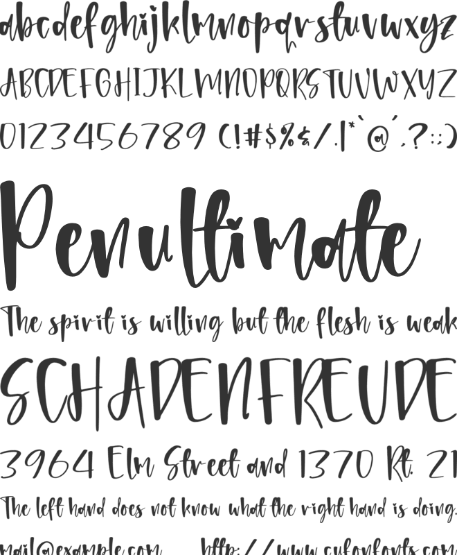 Shelbyita font preview