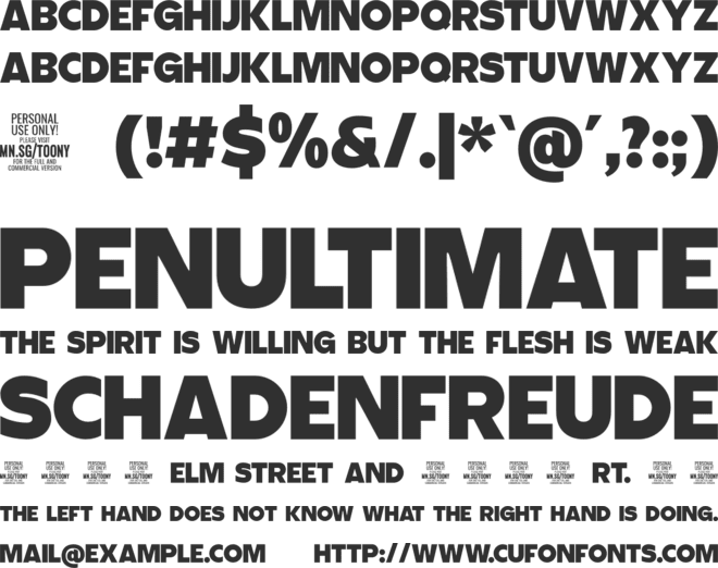 Toony Sans PERSONAL USE font preview