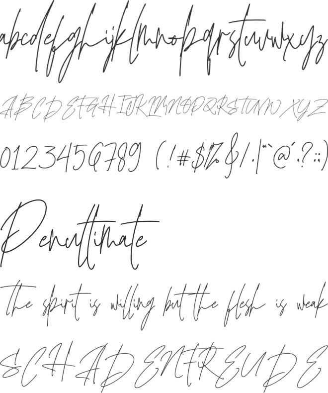 Sindupen Signature font preview