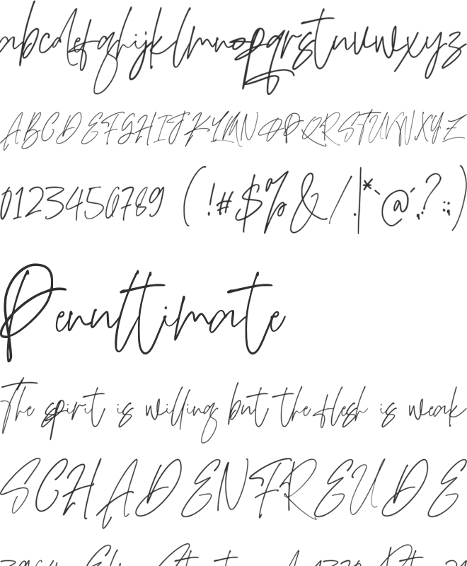 Adustine Signature font preview
