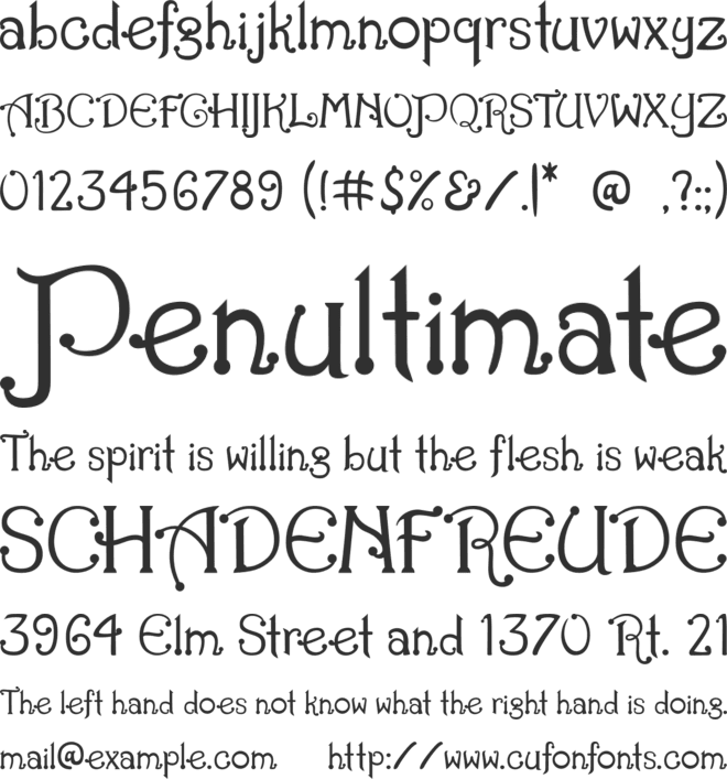 Night Christmas font preview
