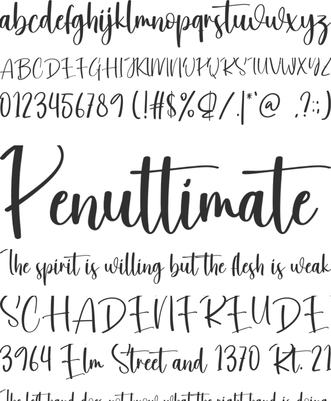 Winterlive font preview