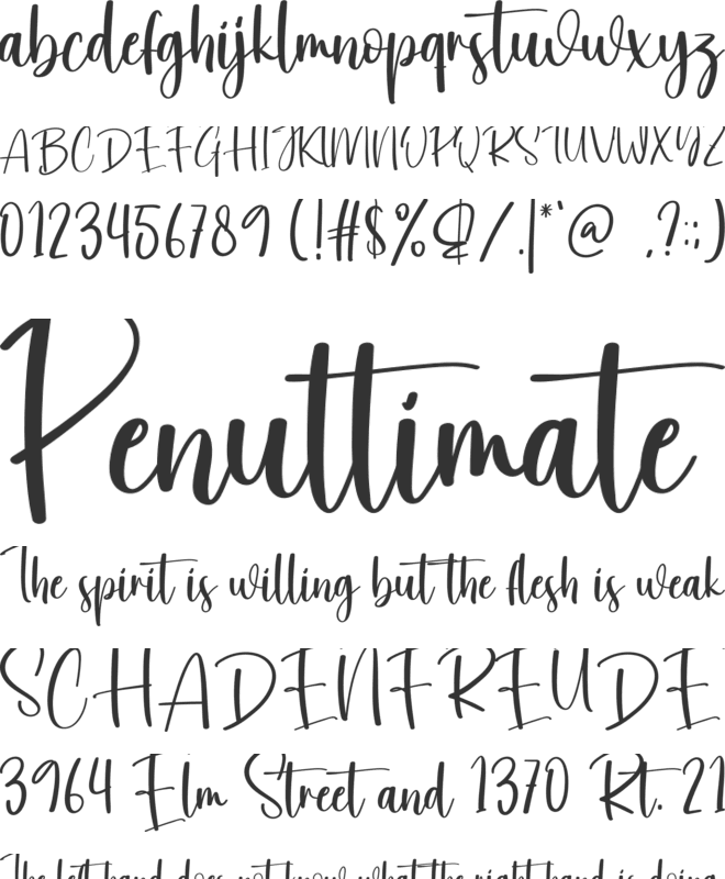 Winterlive font preview