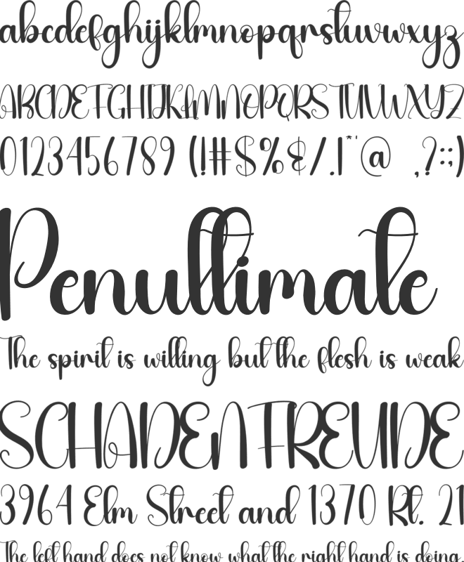 Sendday font preview