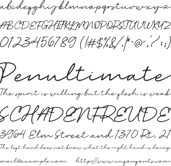 Wardah Rounded font preview