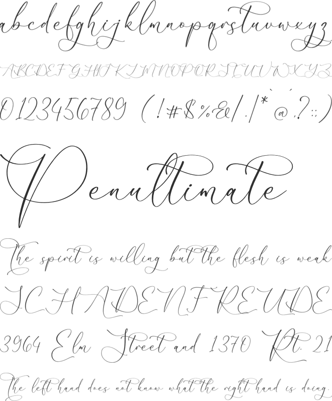 Malone Clemettine Script font preview