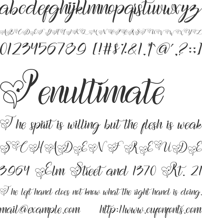 Fillas font preview