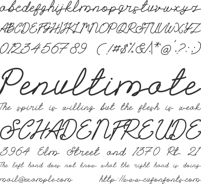 Seichy font preview