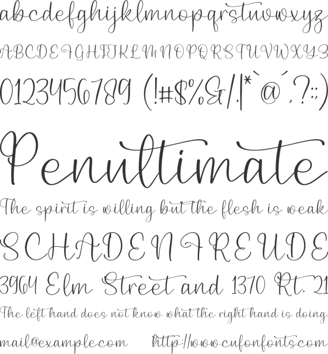 Birdeline Yashintta font preview