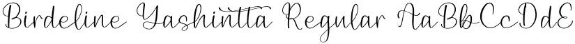 Birdeline Yashintta Regular font