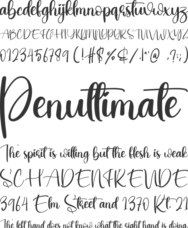 Bonfire font preview