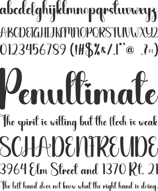Paddock font preview