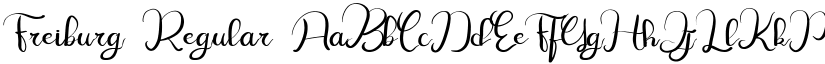 Freiburg Regular font