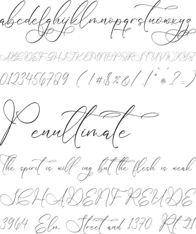Megitran Carolinesh Script font preview