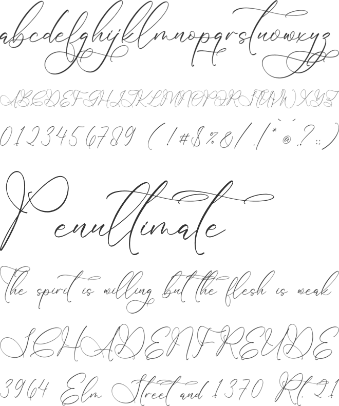 Megitran Carolinesh Script font preview