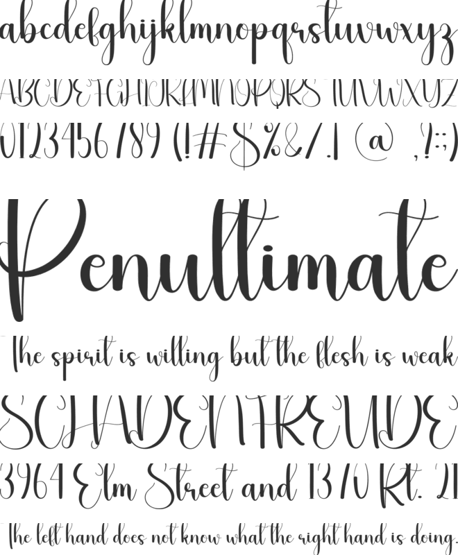 Turtle font preview