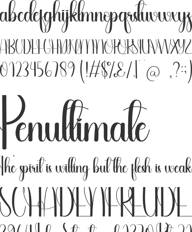 Springday font preview