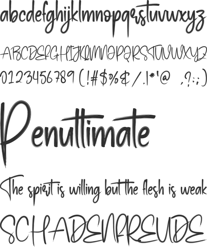 The Storybook font preview
