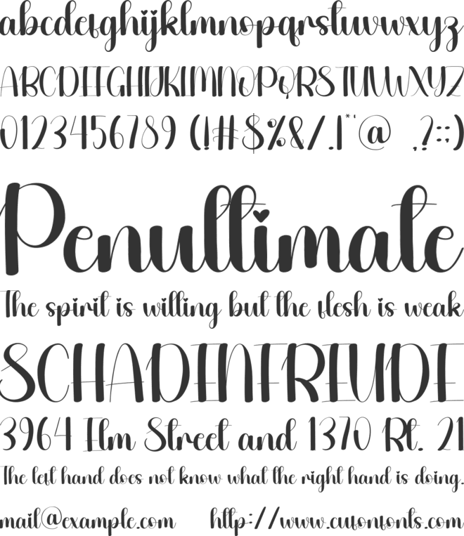 Octopus font preview