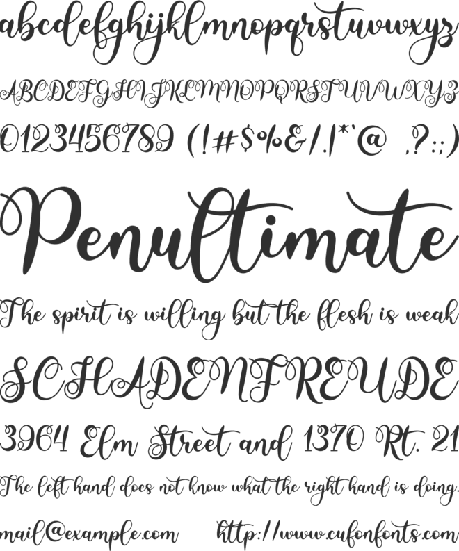 Sunday Christmas font preview