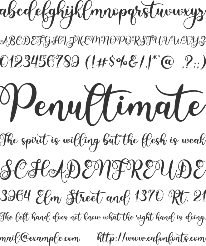 Sunday Christmas font preview