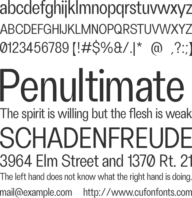FH Oscar Condensed Test font preview