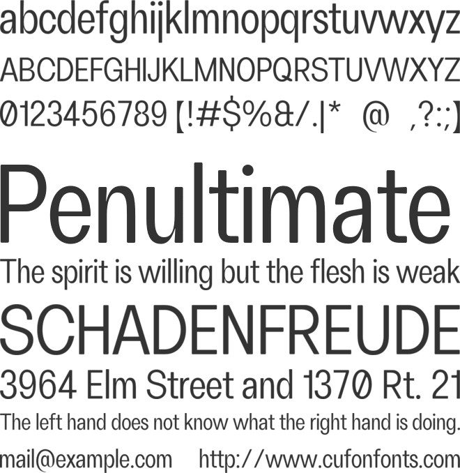 FH Oscar Condensed Test font preview